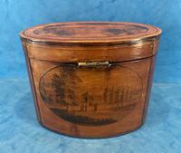 Antique Spa Tea Caddy (8 of 13) Antique Spa Tea Caddy (8 of 13)