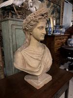 Item Additional Image