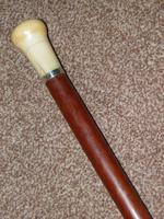 Antique Faux Ivory Pommel Topped Rosewood Walking Stick / Cane (7 of 13) Antique Faux Ivory Pommel Topped Rosewood Walking Stick / Cane (7 of 13)