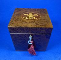 Late Victorian Burr Yew Single Tea Caddy (4 of 32) Late Victorian Burr Yew Single Tea Caddy (4 of 32)