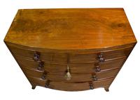 Regency Period Mahogany Bow-fronted Chest (7 of 7) Regency Period Mahogany Bow-fronted Chest (7 of 7)