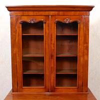 Library Glazed Bookcase Mahogany 19th Century Victorian Display Cabinet (3 of 11) Library Glazed Bookcase Mahogany 19th Century Victorian Display Cabinet (3 of 11)