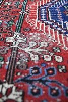 Birjand Korashan Rug (6 of 13) Birjand Korashan Rug (6 of 13)