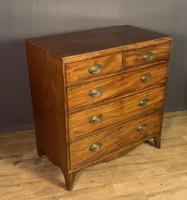 Georgian Caddy Top Mahogany Chest of Drawers (6 of 7) Georgian Caddy Top Mahogany Chest of Drawers (6 of 7)