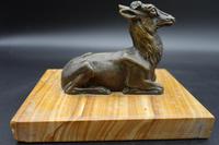 Well Modelled Early 20th Century Continental Bronze Model of a Recumbent Goat (4 of 5) Well Modelled Early 20th Century Continental Bronze Model of a Recumbent Goat (4 of 5)