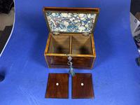 18th Century Mahogany Twin Tea Caddy with Shell Inlay (9 of 17) 18th Century Mahogany Twin Tea Caddy with Shell Inlay (9 of 17)