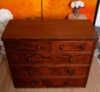 Cuban Mahogany Chest of Drawers 19th Century (13 of 14) Cuban Mahogany Chest of Drawers 19th Century (13 of 14)