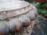 Stunning 18th / 19th Century Walnut ? Hand Carved Corinthian Column Bases (11 of 12) Stunning 18th / 19th Century Walnut ? Hand Carved Corinthian Column Bases (11 of 12)