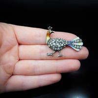 Antique Enamel and Paste Silver Peacock Bird Brooch Pin (10 of 10) Antique Enamel and Paste Silver Peacock Bird Brooch Pin (10 of 10)