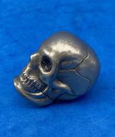 Rare Victorian Skull Vesta (4 of 15) Rare Victorian Skull Vesta (4 of 15)