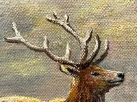 Oil Painting Scottish Stags "Denizens of the Highlands" Signed Wendy Reeves (44 of 45) Oil Painting Scottish Stags "Denizens of the Highlands" Signed Wendy Reeves (44 of 45)