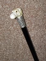 Edwardian J.Howell Hallmarked 1902 Silver Lurcher Dogs Head Walking Stick / Cane (2 of 14) Edwardian J.Howell Hallmarked 1902 Silver Lurcher Dogs Head Walking Stick / Cane (2 of 14)