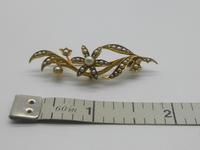 15ct Gold Seed Pearl Brooch (5 of 7) 15ct Gold Seed Pearl Brooch (5 of 7)