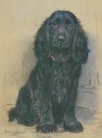 Marion Harvey 1886-1971 Portrait of a Black Spaniel (7 of 9) Marion Harvey 1886-1971 Portrait of a Black Spaniel (7 of 9)