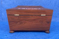 William IV Rosewood, Mother of Pearl Inlaid Twin Tea Caddy (5 of 8) William IV Rosewood, Mother of Pearl Inlaid Twin Tea Caddy (5 of 8)