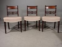 Attractive Set of 3 Regency Period Mahogany Framed Chairs (2 of 8) Attractive Set of 3 Regency Period Mahogany Framed Chairs (2 of 8)