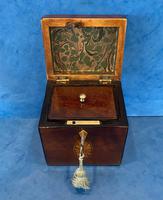 18th Century Harewood Inlaid Single Mahogany Tea Caddy (6 of 18) 18th Century Harewood Inlaid Single Mahogany Tea Caddy (6 of 18)