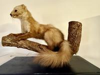 Item Additional Image