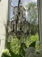 Venetian Chandelier (4 of 4) Venetian Chandelier (4 of 4)