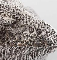 8e6e61ac3b7d42ef8cec7b5688df5a67_1777575682573.jpeg