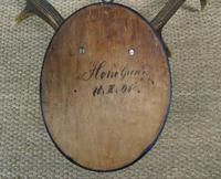 Antique Antlers on Shield (5 of 5) Antique Antlers on Shield (5 of 5)