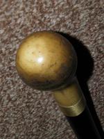 Antique Bovine Horn Handled Ebony Walking Stick With Gold Plate Collar (6 of 11) Antique Bovine Horn Handled Ebony Walking Stick With Gold Plate Collar (6 of 11)