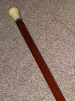 Antique Faux Ivory Pommel Topped Rosewood Walking Stick / Cane (12 of 13) Antique Faux Ivory Pommel Topped Rosewood Walking Stick / Cane (12 of 13)