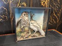 Item Additional Image