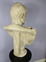 Large Plaster Bust of Augustus (5 of 7) Large Plaster Bust of Augustus (5 of 7)