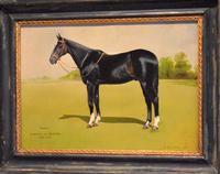 Horse oil painting 'Victor' by L Mallender (5 of 8) Horse oil painting 'Victor' by L Mallender (5 of 8)