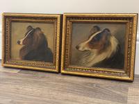 Pair of Scottish 19th Century Oil Paintings Rough Collie Dog Portraits After George Washington Brownlow (3 of 49) Pair of Scottish 19th Century Oil Paintings Rough Collie Dog Portraits After George Washington Brownlow (3 of 49)
