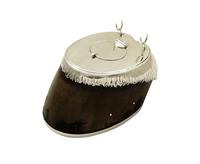 Antique Victorian Sterling Silver Hoof Inkwell 1875 (3 of 10) Antique Victorian Sterling Silver Hoof Inkwell 1875 (3 of 10)