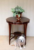 Inlaid Mahogany Circular Table (7 of 12) Inlaid Mahogany Circular Table (7 of 12)