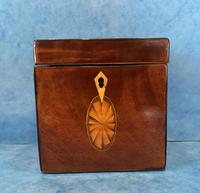18th Century Harewood Inlaid Single Mahogany Tea Caddy (4 of 18) 18th Century Harewood Inlaid Single Mahogany Tea Caddy (4 of 18)