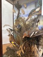 Item Additional Image