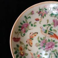Chinese Porcelain Fencai, Celadon Plate, Qing Dynasty Tongzhi Period (5 of 8) Chinese Porcelain Fencai, Celadon Plate, Qing Dynasty Tongzhi Period (5 of 8)
