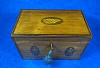 George III Satinwood Twin Tea Caddy with Prince of Wales Inlay (4 of 15) George III Satinwood Twin Tea Caddy with Prince of Wales Inlay (4 of 15)