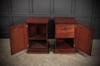 Pair of William IV Flame Mahogany Pedestal Cabinets (9 of 15) Pair of William IV Flame Mahogany Pedestal Cabinets (9 of 15)