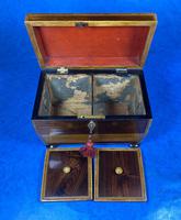 Regency Rosewood Twin Section Tea Caddy (11 of 12) Regency Rosewood Twin Section Tea Caddy (11 of 12)