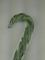 Antique Victorian Transparent Green Barley Twist Glass Cane Walking Stick C1890s (6 of 8) Antique Victorian Transparent Green Barley Twist Glass Cane Walking Stick C1890s (6 of 8)
