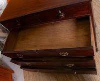 Georgian Chest of Drawers Mahogany 19th Century (11 of 12) Georgian Chest of Drawers Mahogany 19th Century (11 of 12)