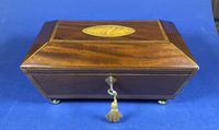 Regency Sarcophagus Mahogany Box with Shell Inlay. (12 of 12) Regency Sarcophagus Mahogany Box with Shell Inlay. (12 of 12)