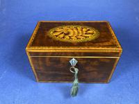 18th Century Mahogany Twin Tea Caddy with Shell Inlay (10 of 17) 18th Century Mahogany Twin Tea Caddy with Shell Inlay (10 of 17)