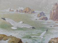 Watercolour Seagull seascape List Artist Noel Hubert Hopking (5 of 10) Watercolour Seagull seascape List Artist Noel Hubert Hopking (5 of 10)