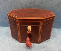 Georgian Hexagonal Mahogany Twin Section Tea Caddy with Inlay (4 of 18) Georgian Hexagonal Mahogany Twin Section Tea Caddy with Inlay (4 of 18)