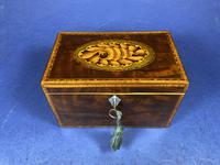 18th Century Mahogany Twin Tea Caddy with Shell Inlay (17 of 17) 18th Century Mahogany Twin Tea Caddy with Shell Inlay (17 of 17)