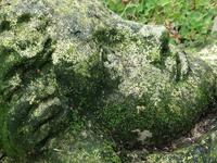 Architectural Feature Medieval Style Stone Cherub Acanthus Scroll Crown Corner Garden Corbel (11 of 13) Architectural Feature Medieval Style Stone Cherub Acanthus Scroll Crown Corner Garden Corbel (11 of 13)