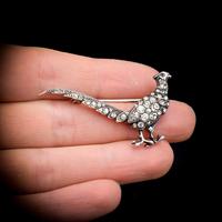 Antique Pheasant Bird Paste Sterling Silver Brooch Pin (7 of 7) Antique Pheasant Bird Paste Sterling Silver Brooch Pin (7 of 7)