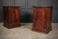 Pair of William IV Flame Mahogany Pedestal Cabinets (4 of 15) Pair of William IV Flame Mahogany Pedestal Cabinets (4 of 15)