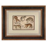 Hand Coloured 'Big Cats' Lithograph. Goldsmith 1875 (4 of 4) Hand Coloured 'Big Cats' Lithograph. Goldsmith 1875 (4 of 4)